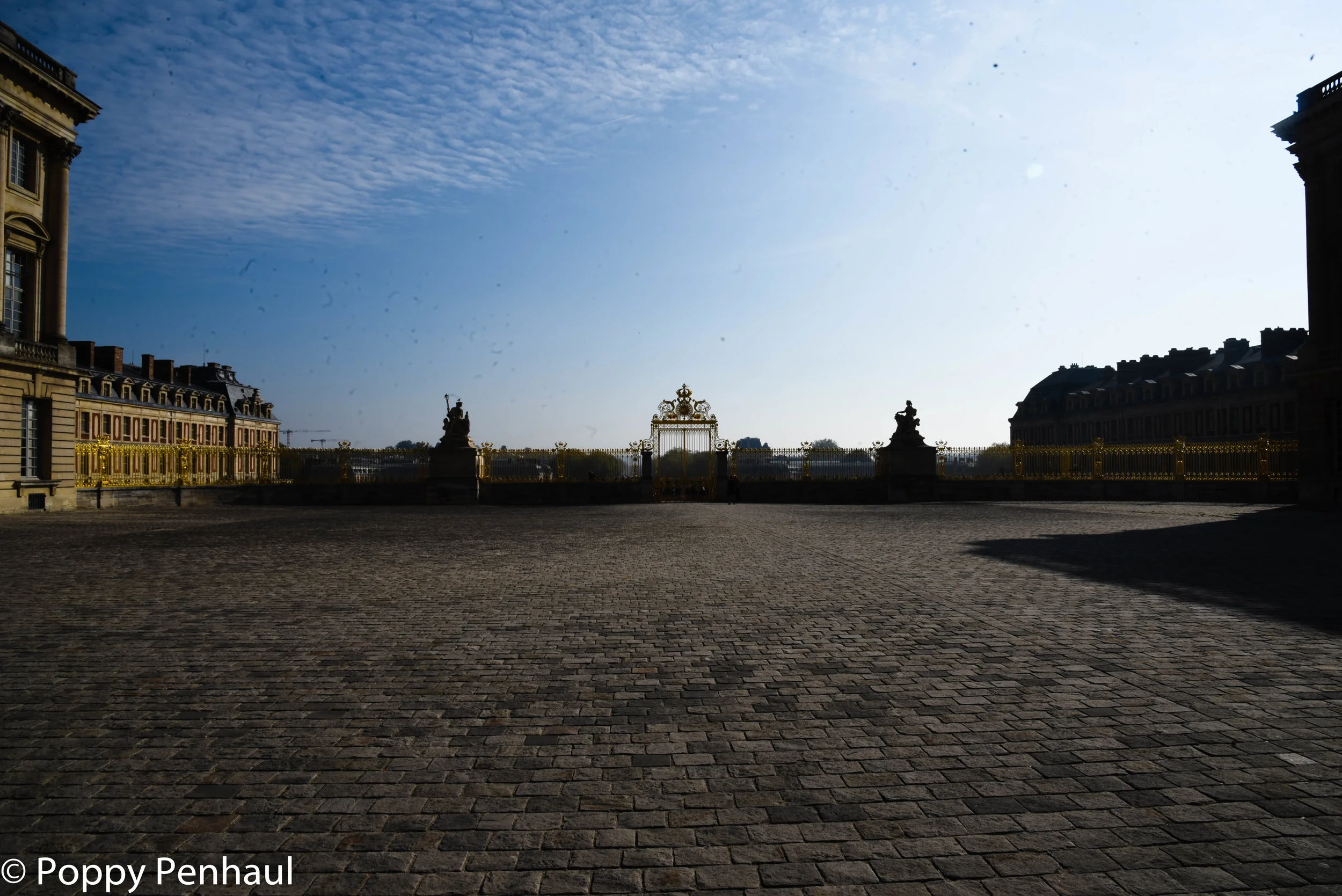 DSC_1391.jpg