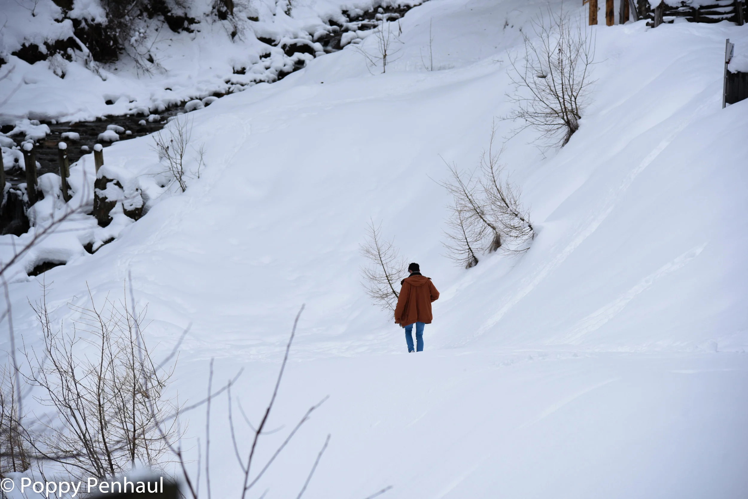 DSC_2160.jpg