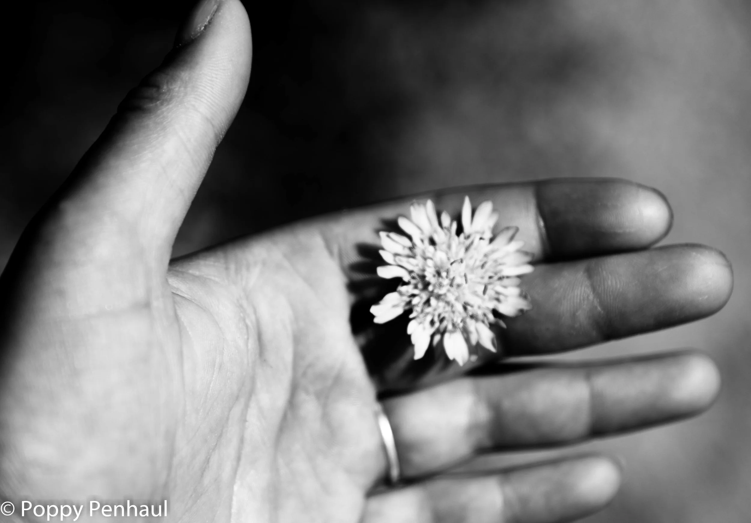 DSC_3079.jpg