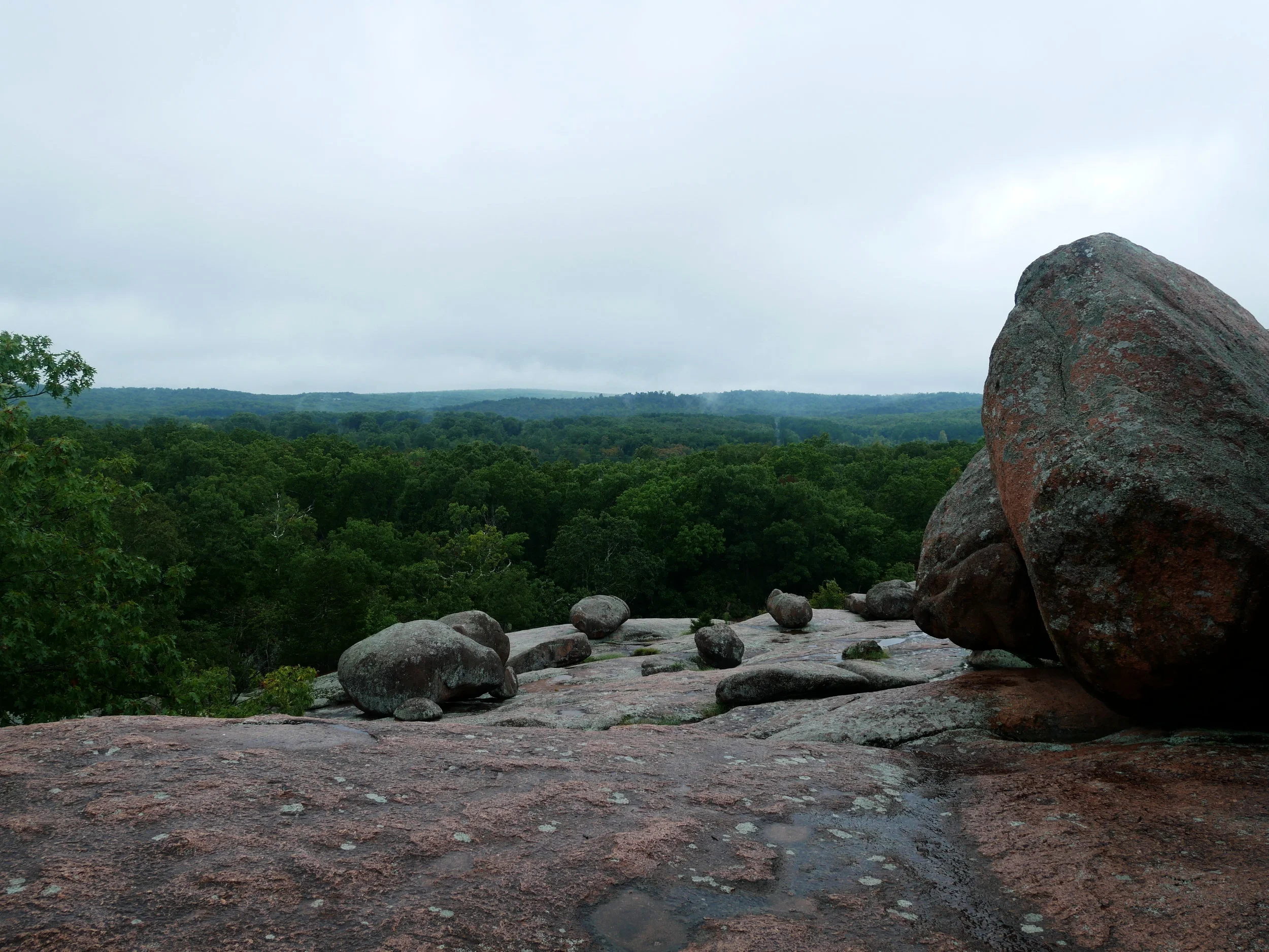 "I’ve been let outside to meet new people."