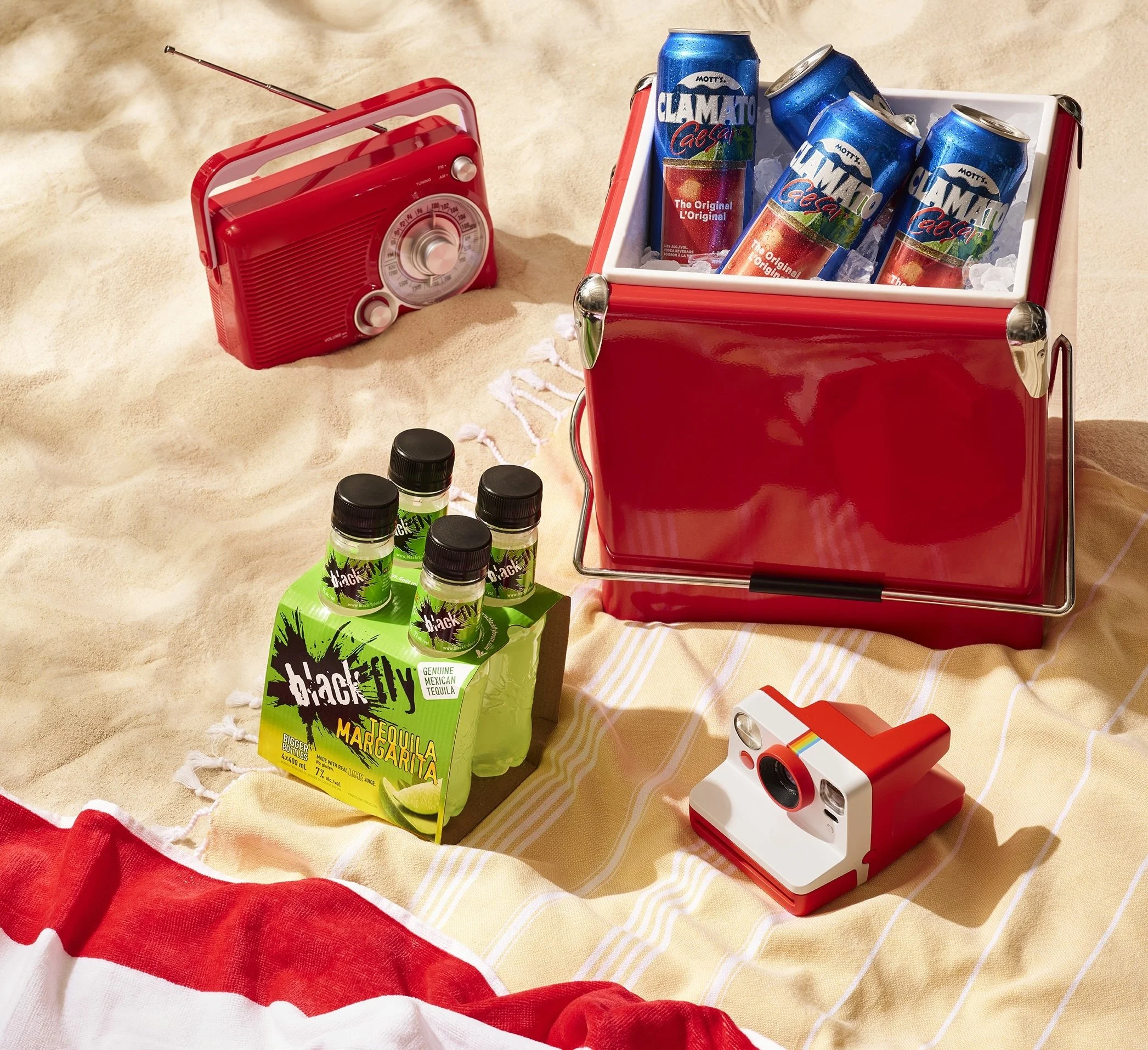 25005MKG-LCB_Party Packs LCBO_SUMMER_PARTYPACKS_3D_LR copy.jpg