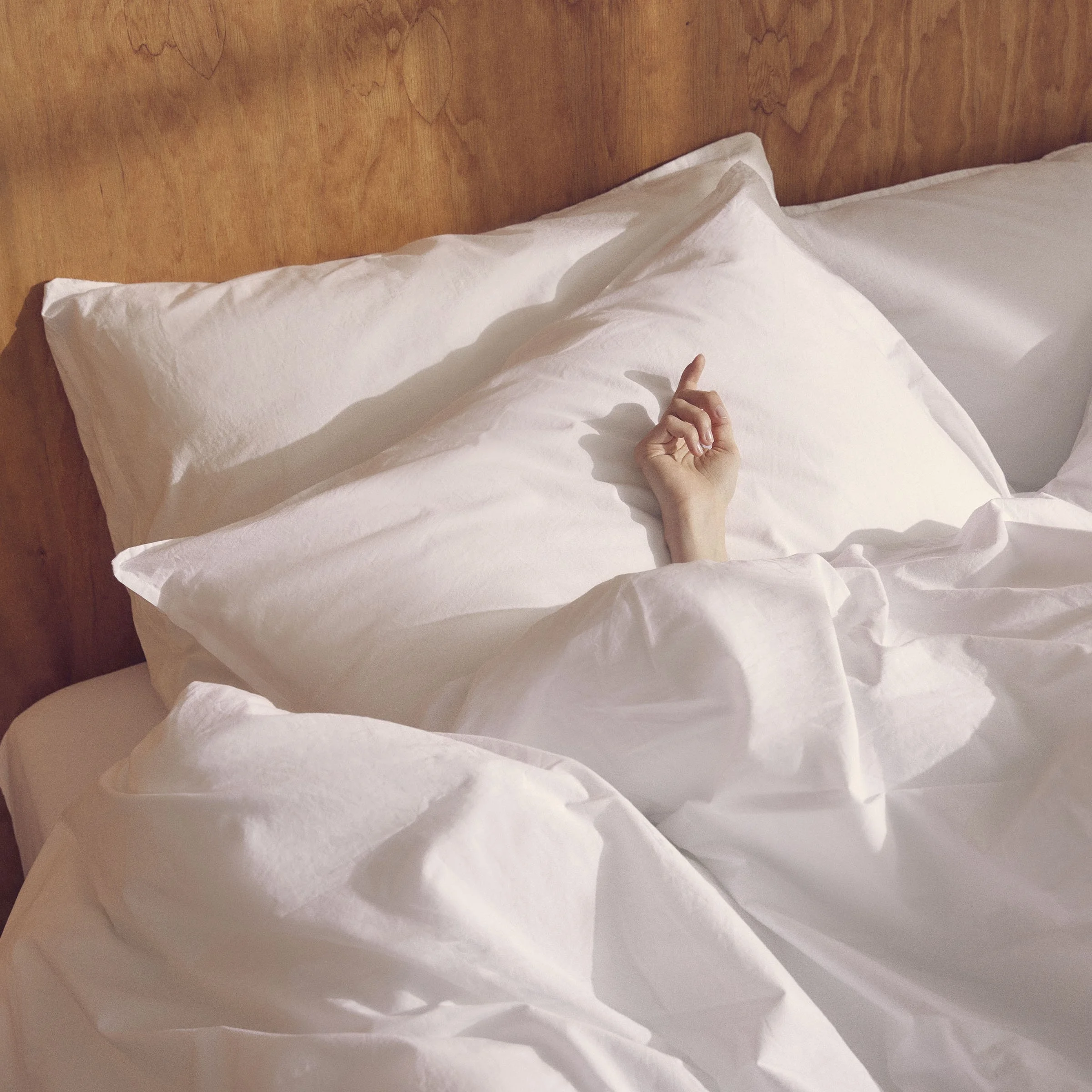 FY24_FA_LL_2023_882709698586_6540 copy.jpg