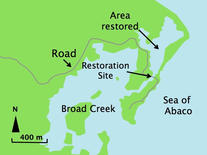 Tidal Creek Restorations