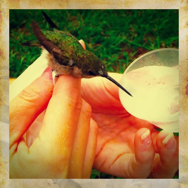 Infusion to be better (maybe)