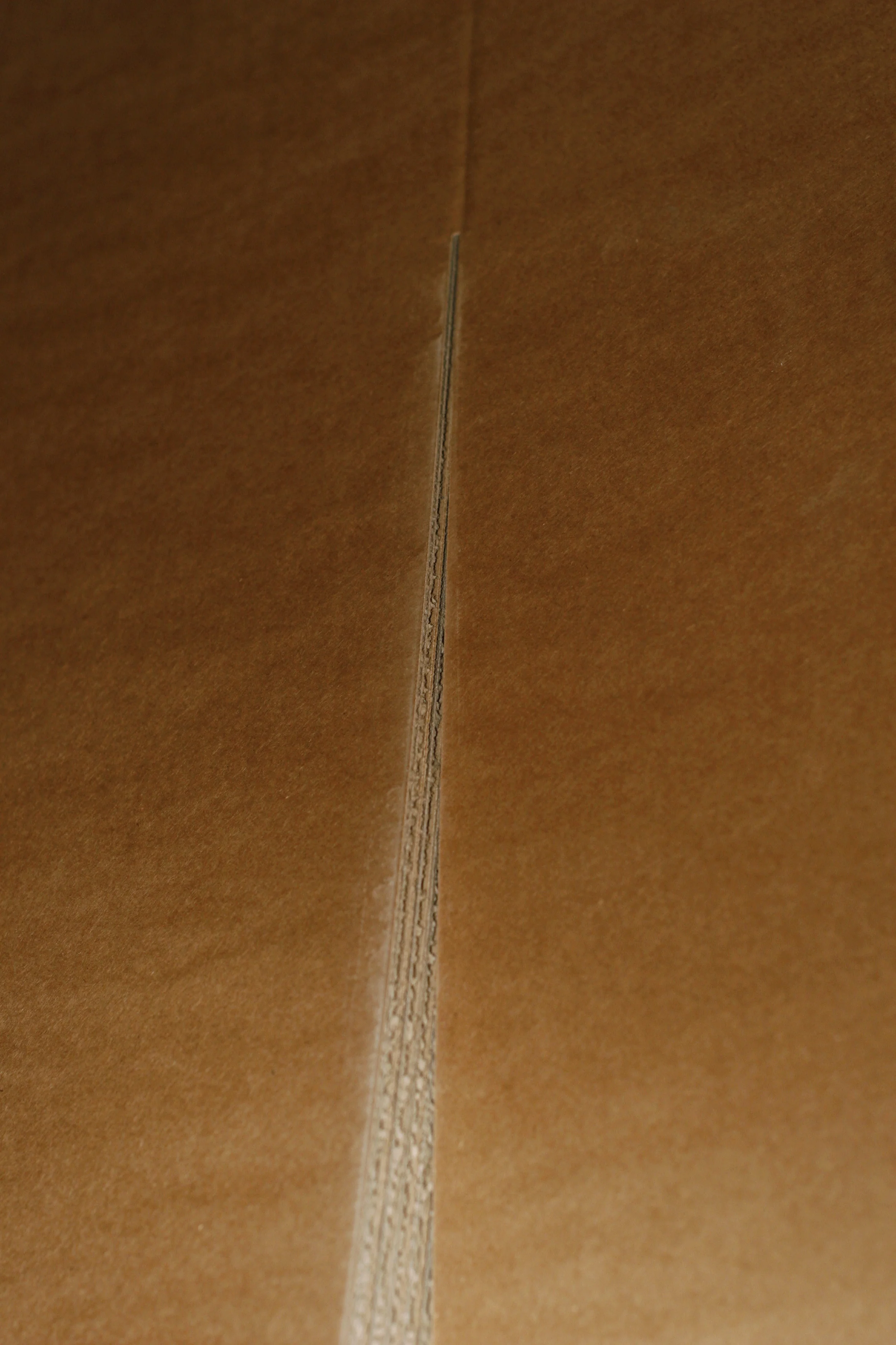 detail.jpg