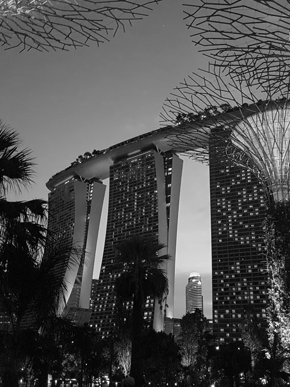 schick-consult-singapur.jpg