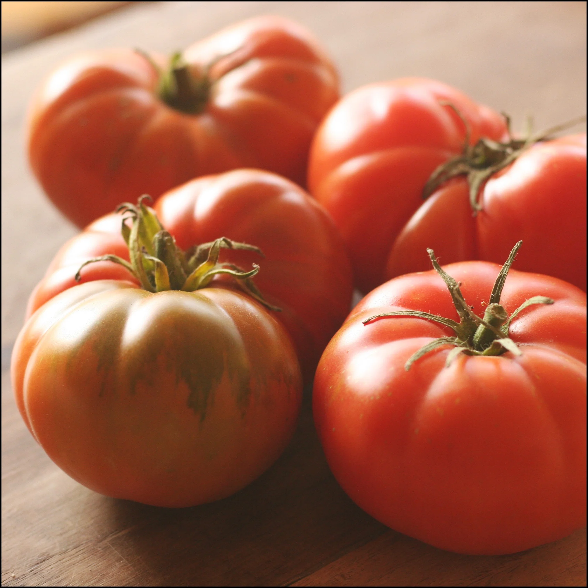 Organic Tomatoes.jpg