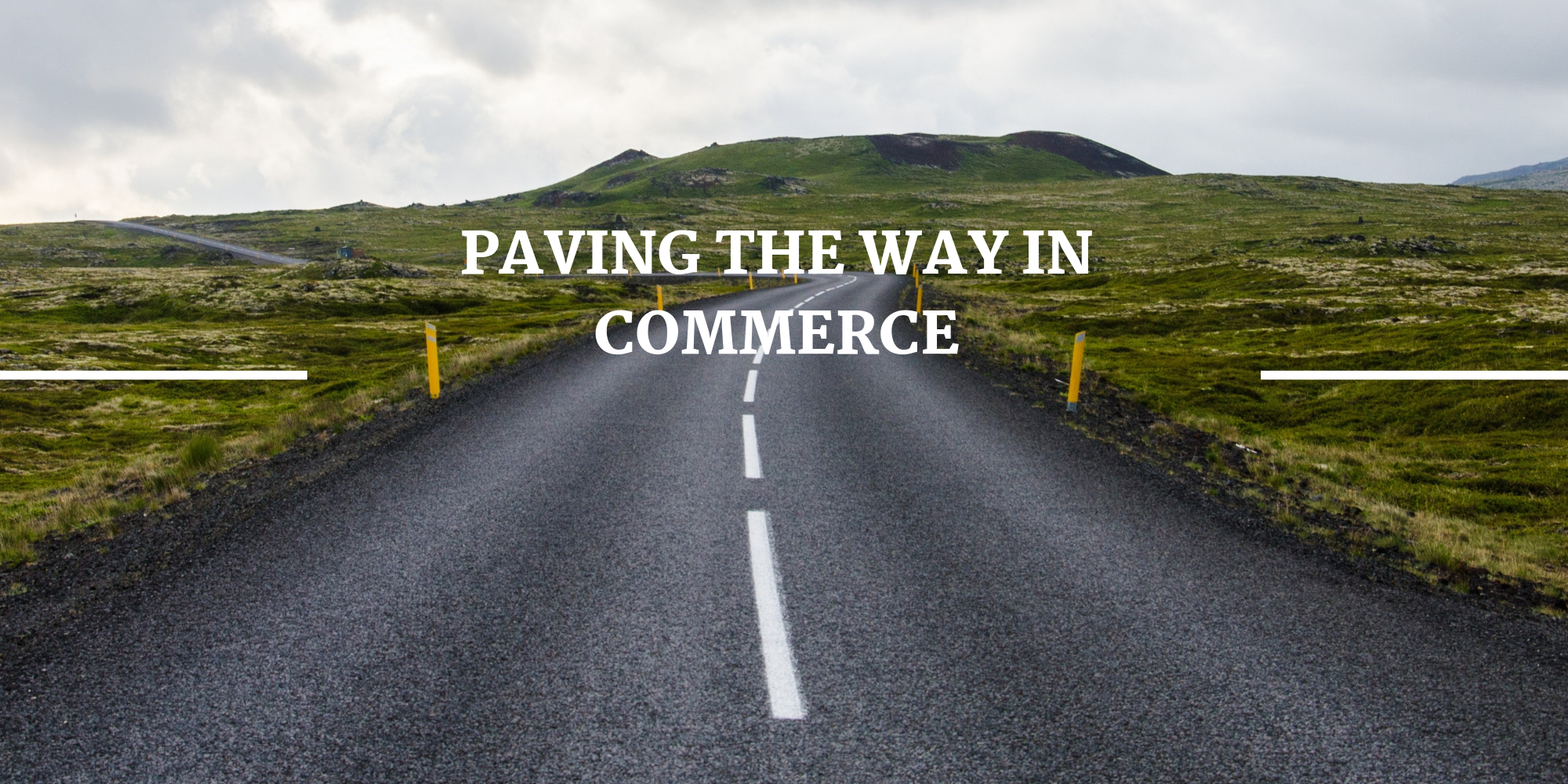 Paving the Way in Brand Management (1).png