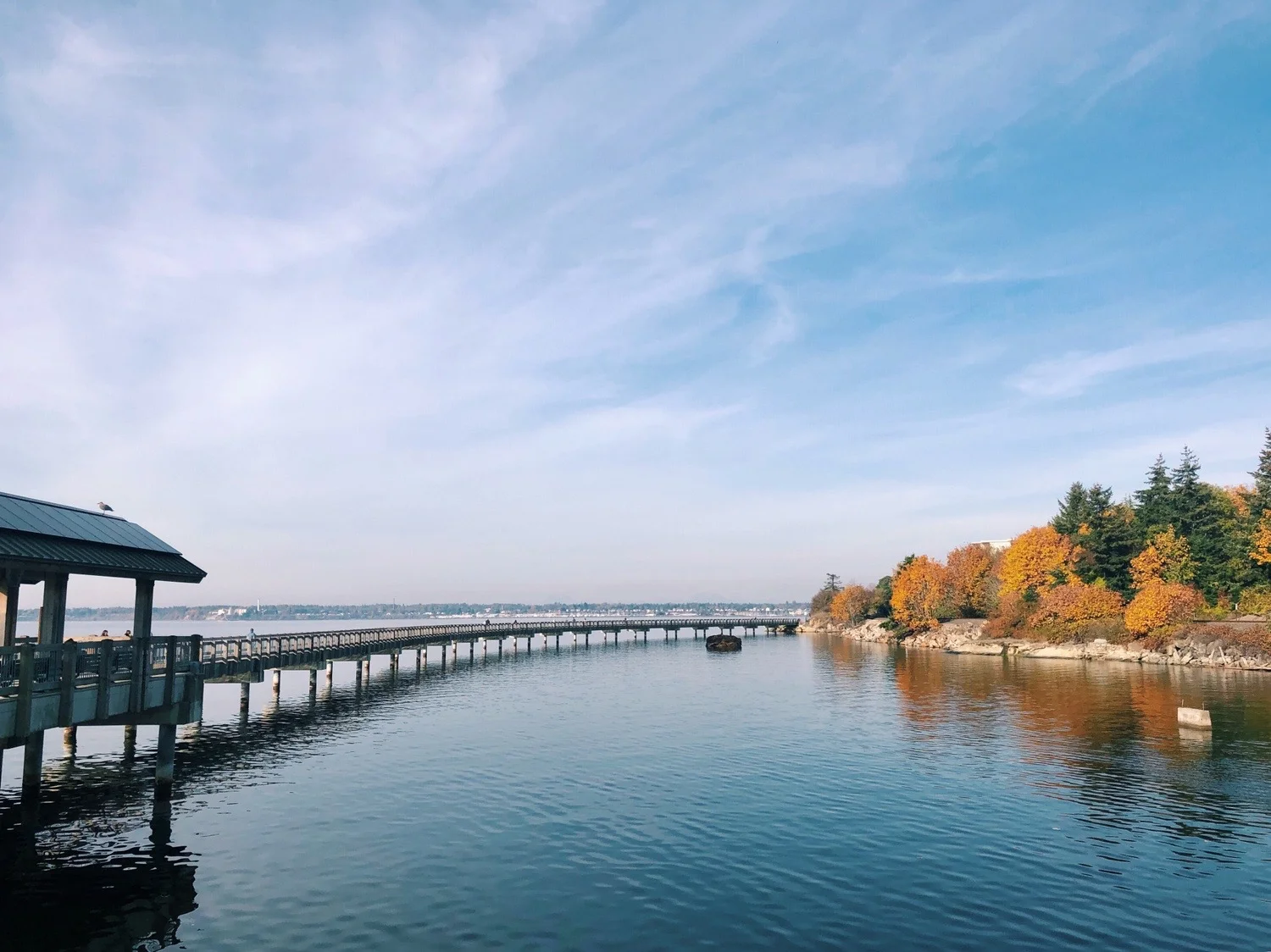 Taylor -Dock.jpg