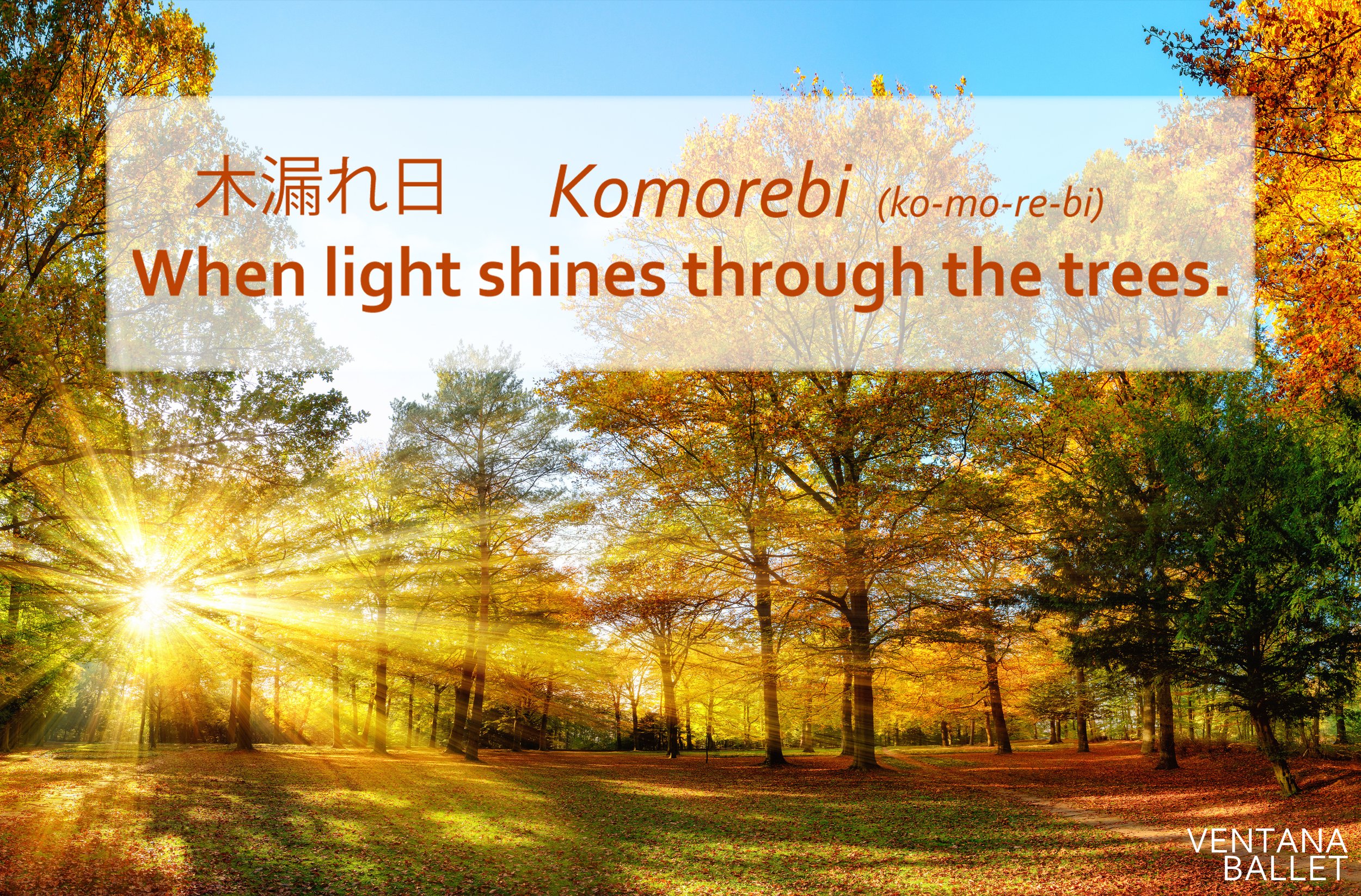 Komorebi Presentation 2 (Corrected Copy).jpg