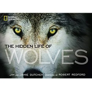 Hidden Lives of Wolves, book by Jim and Jaime Dutcher