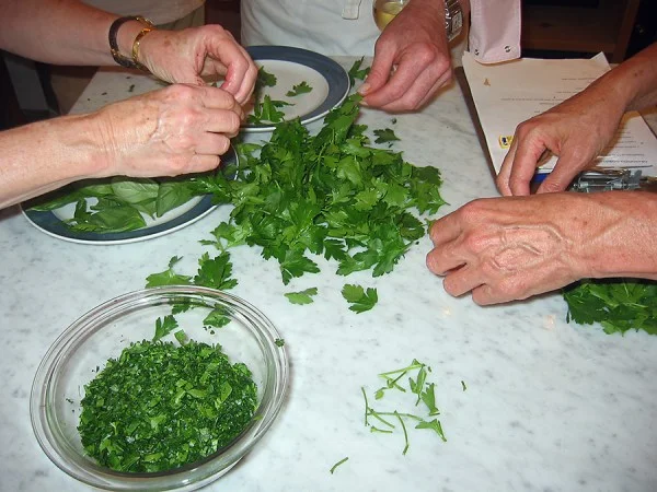 picking and separating parsley leaves for Duck Lasagna