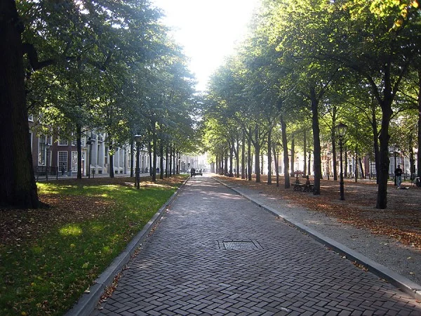 Tree lined street that leads to the Escher Museum in The Hague