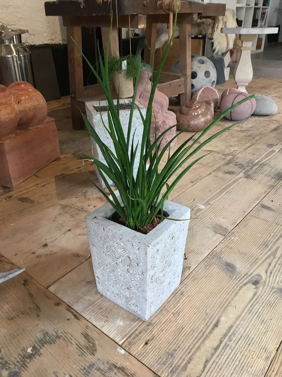 Foto 17.04.17, 14 41 21.jpg