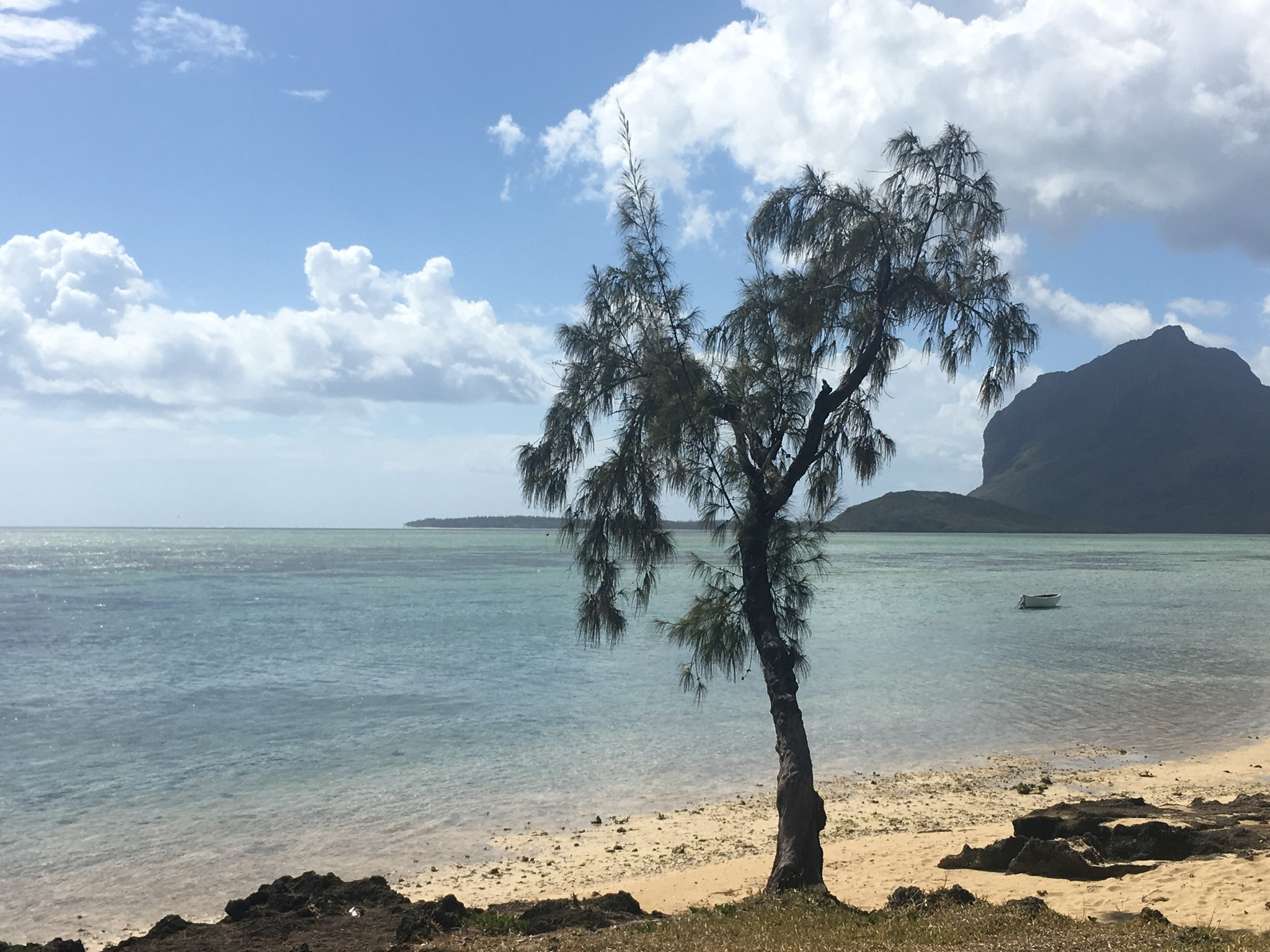 T’as le bonjour de Maurice