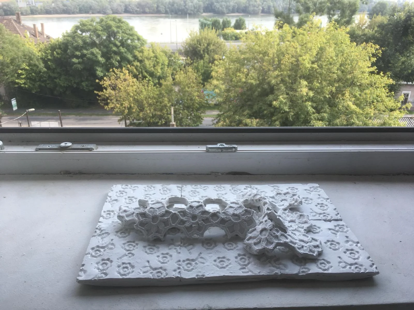 WhatsApp Image 2018-09-13 at 5.11.47 AM.jpeg