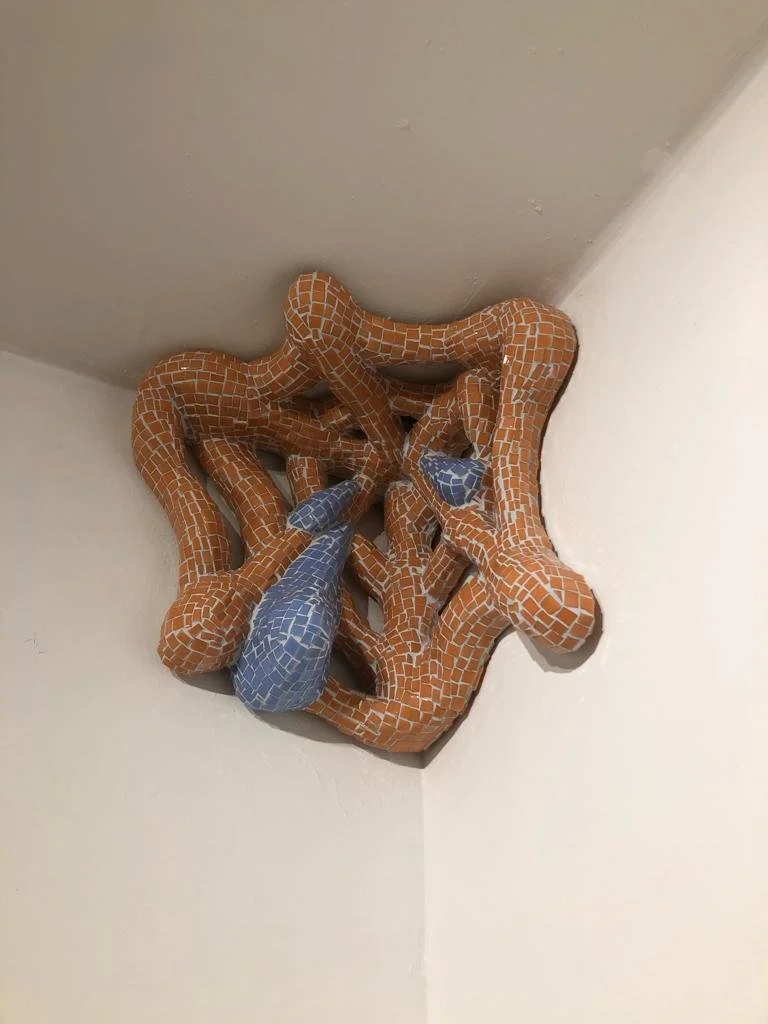 WhatsApp Image 2023-12-01 at 10.54.40 AM (3).jpeg