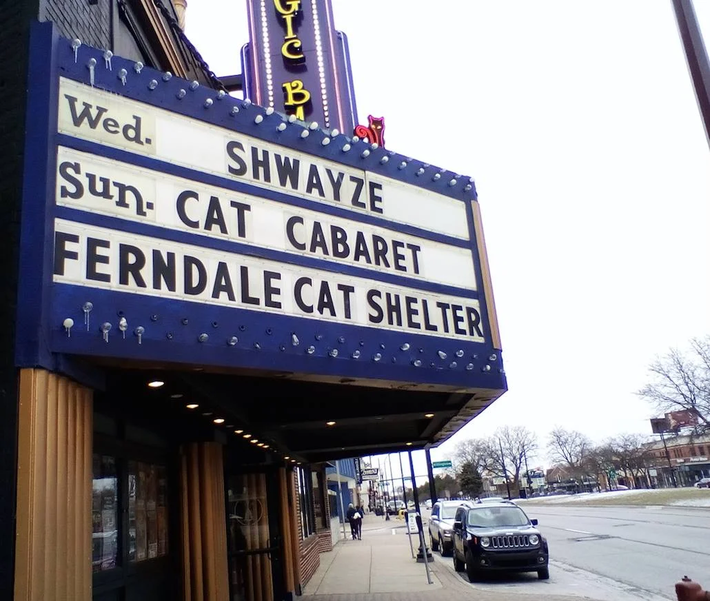 Cat Cabaret.jpg