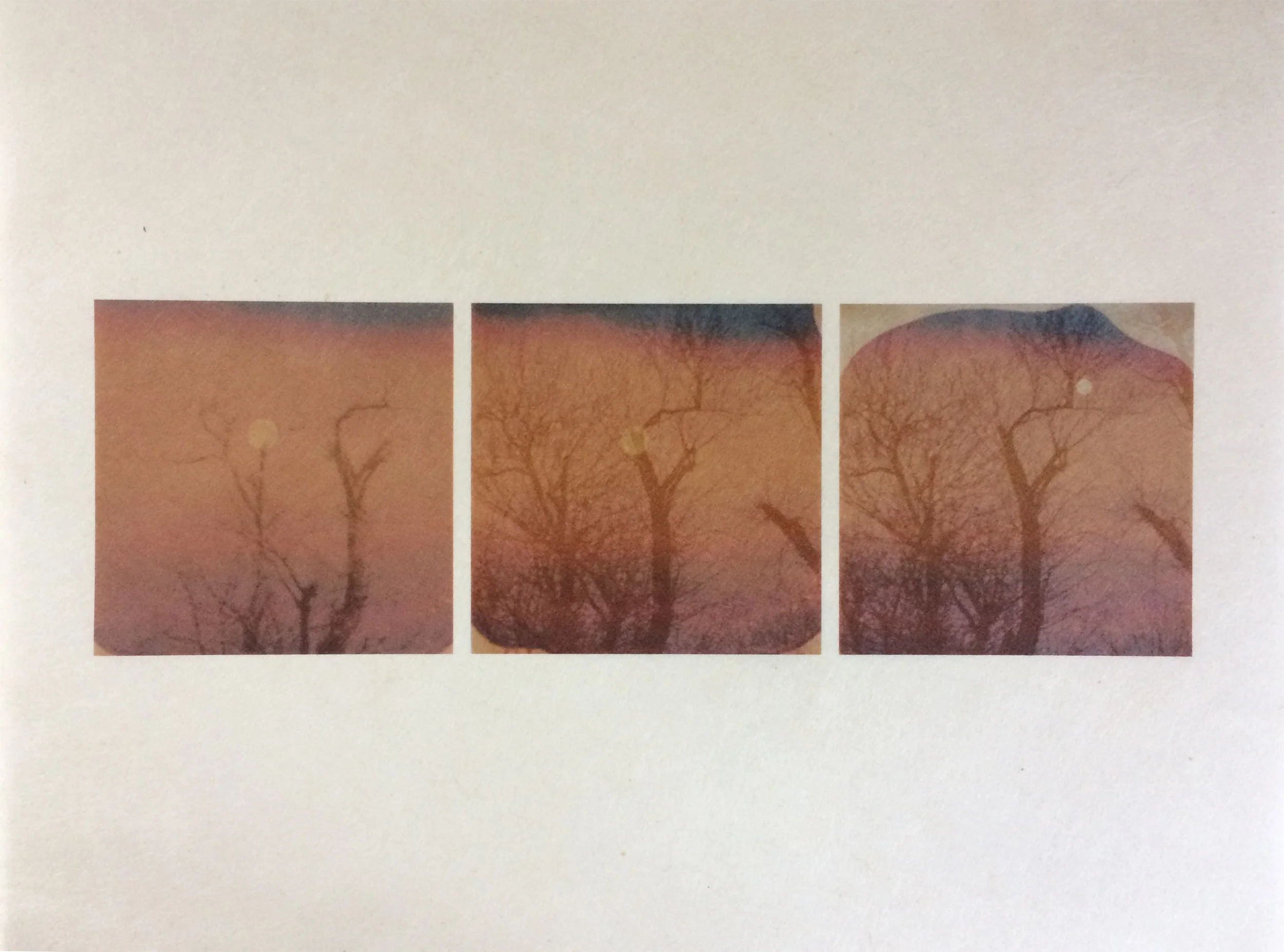 Trees Grow on Mars