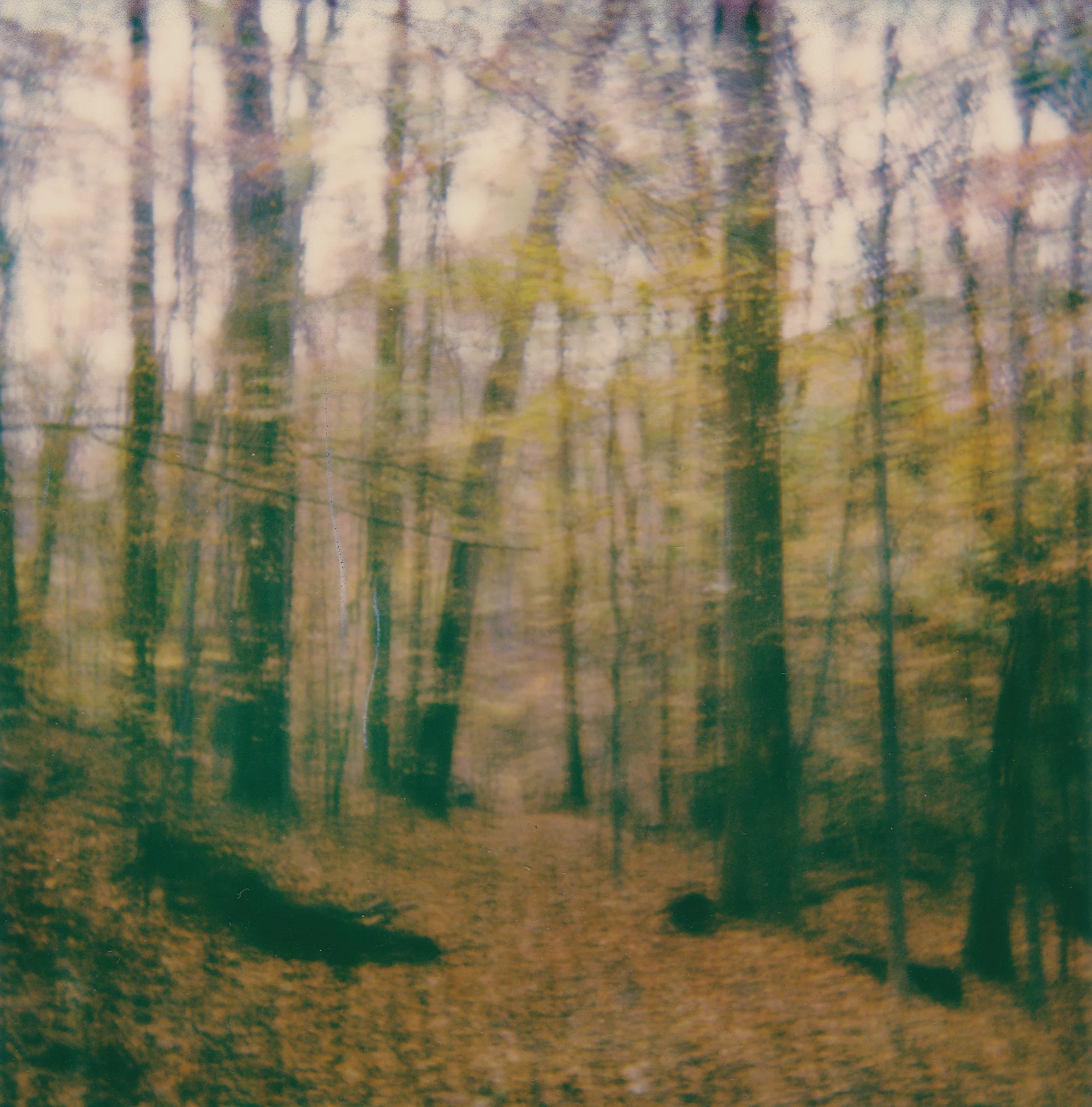 NW Branch_ed_Nov_18.jpg