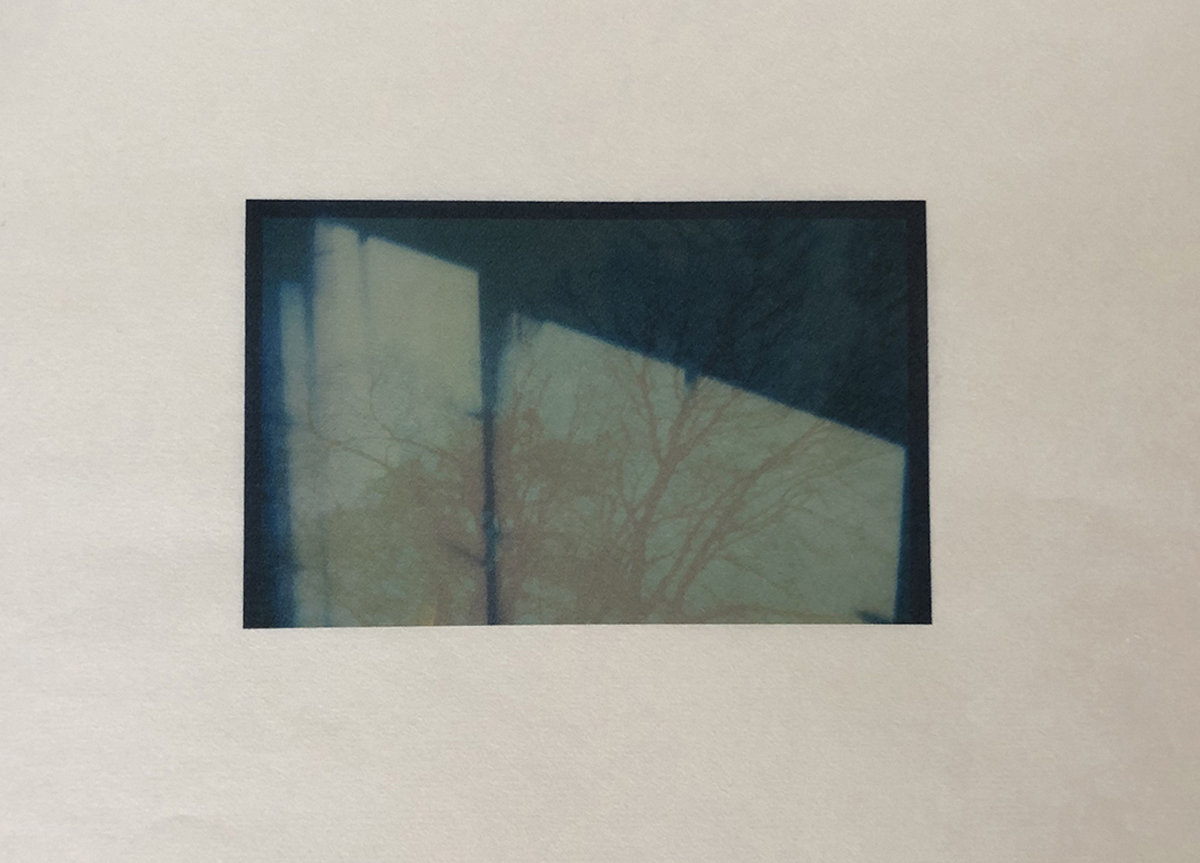 Trees reflected_1200pix.jpg