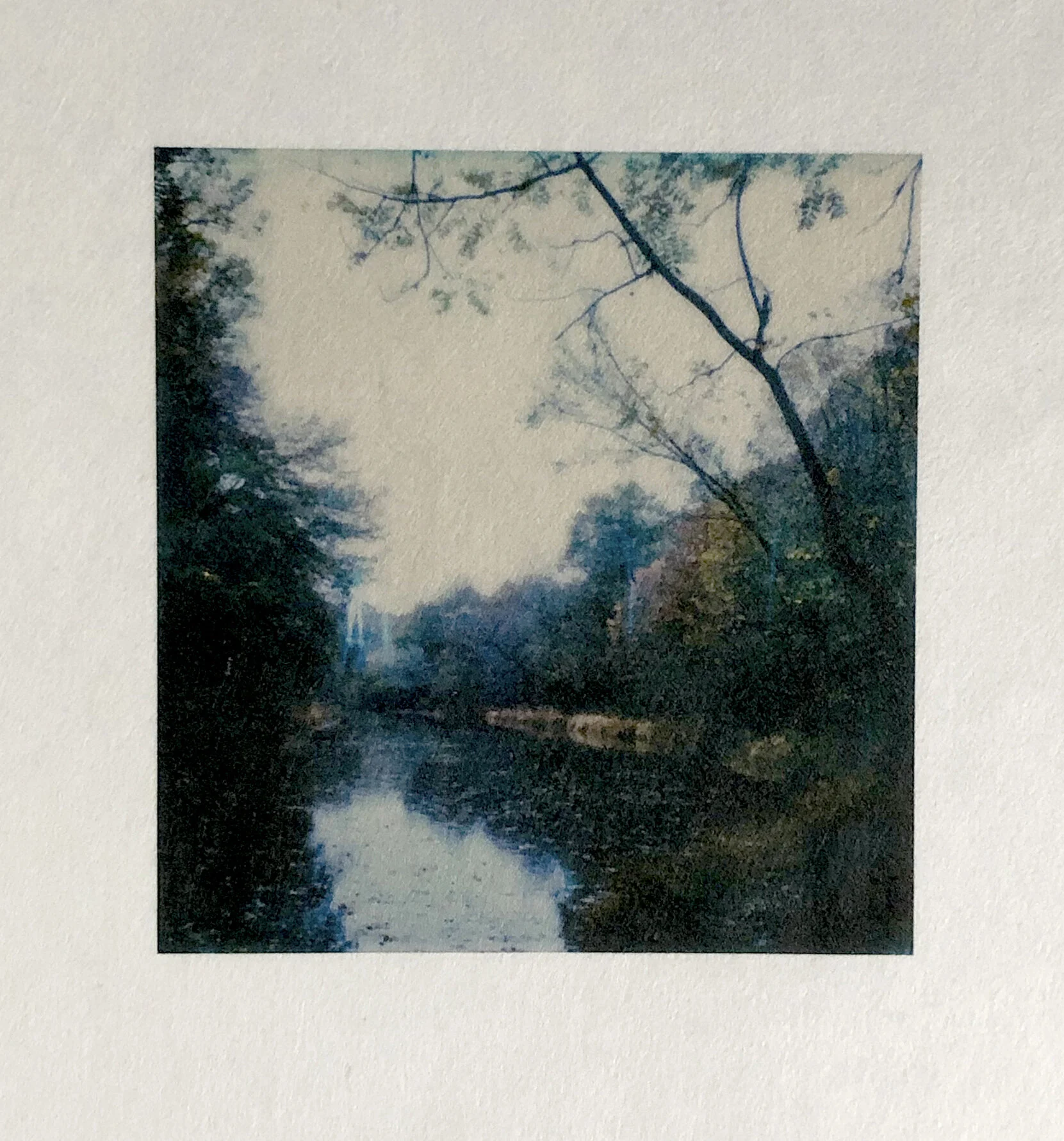 Homage to Rachel Carson_print_detail.jpg