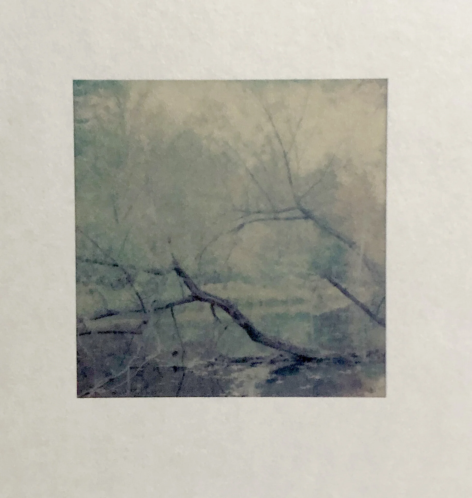 Homage to Rachel Carson II_print_detail.jpg