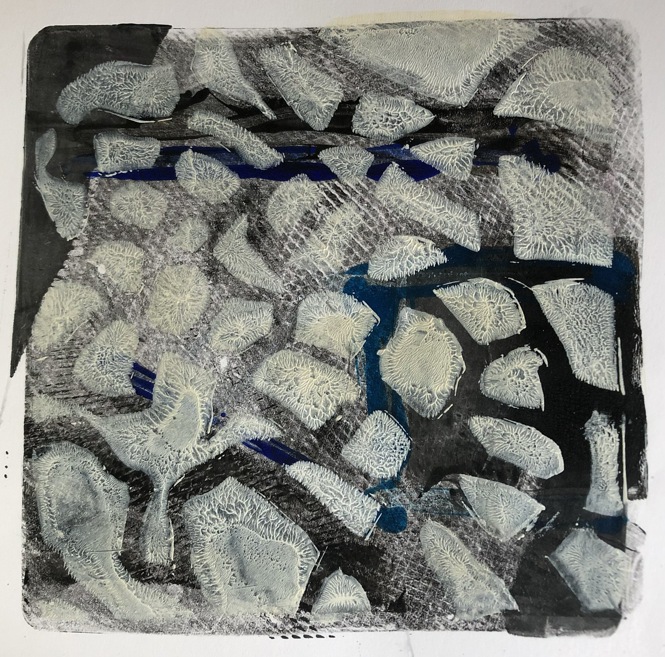 Craquelure Magnified III (image 6" x6")