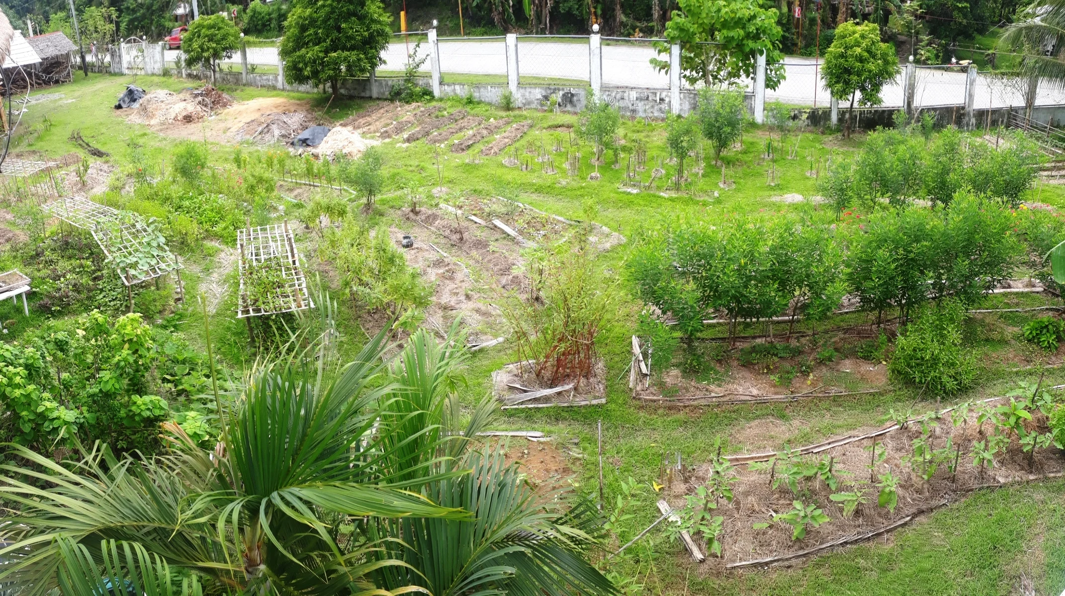 A bird’s eye view of one section of our permaculture farm