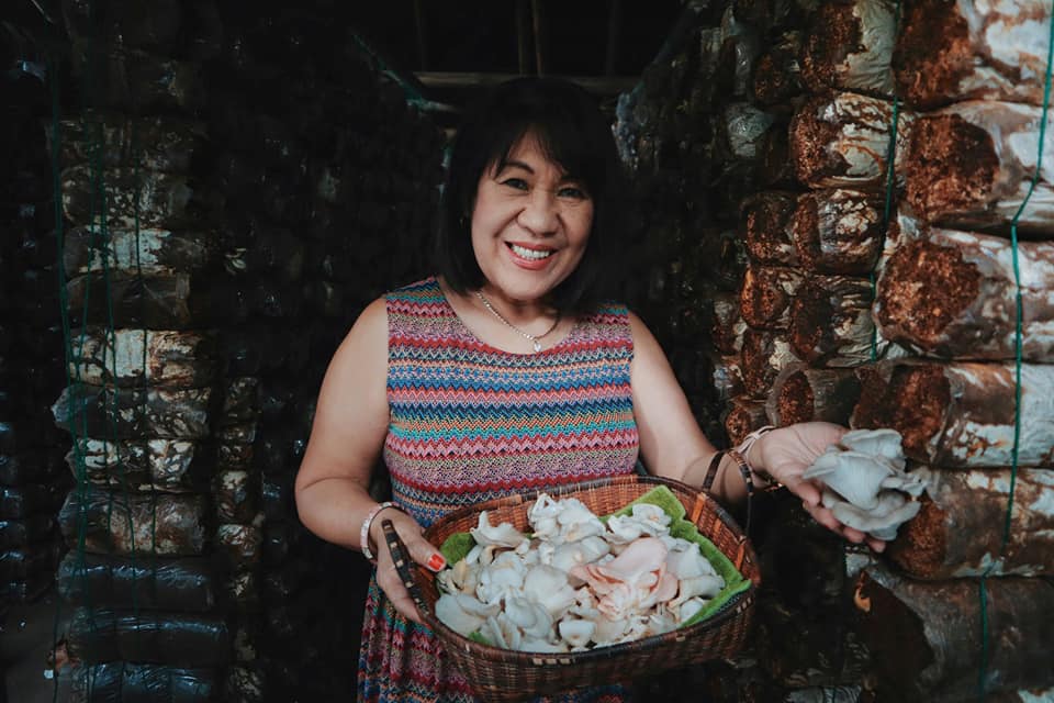 Lilet's Mushroom Farm