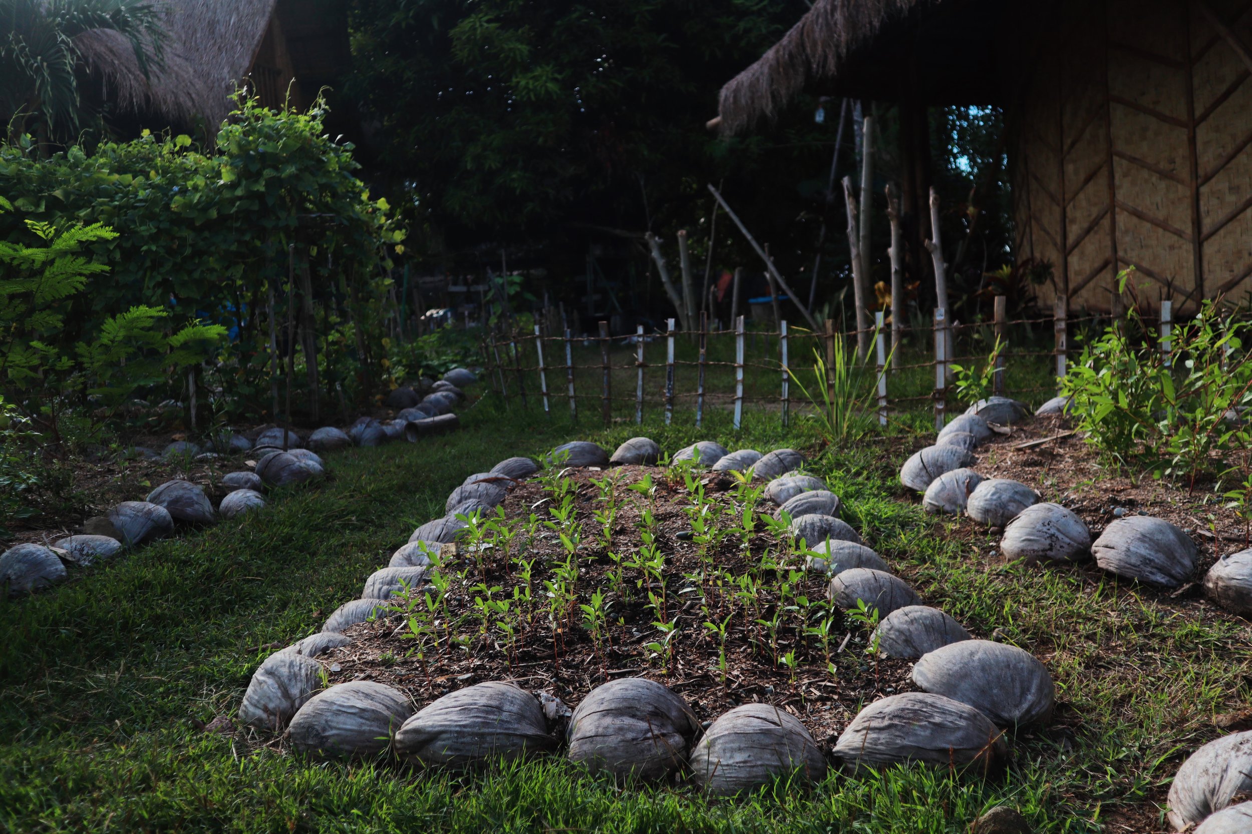 Organic Garden