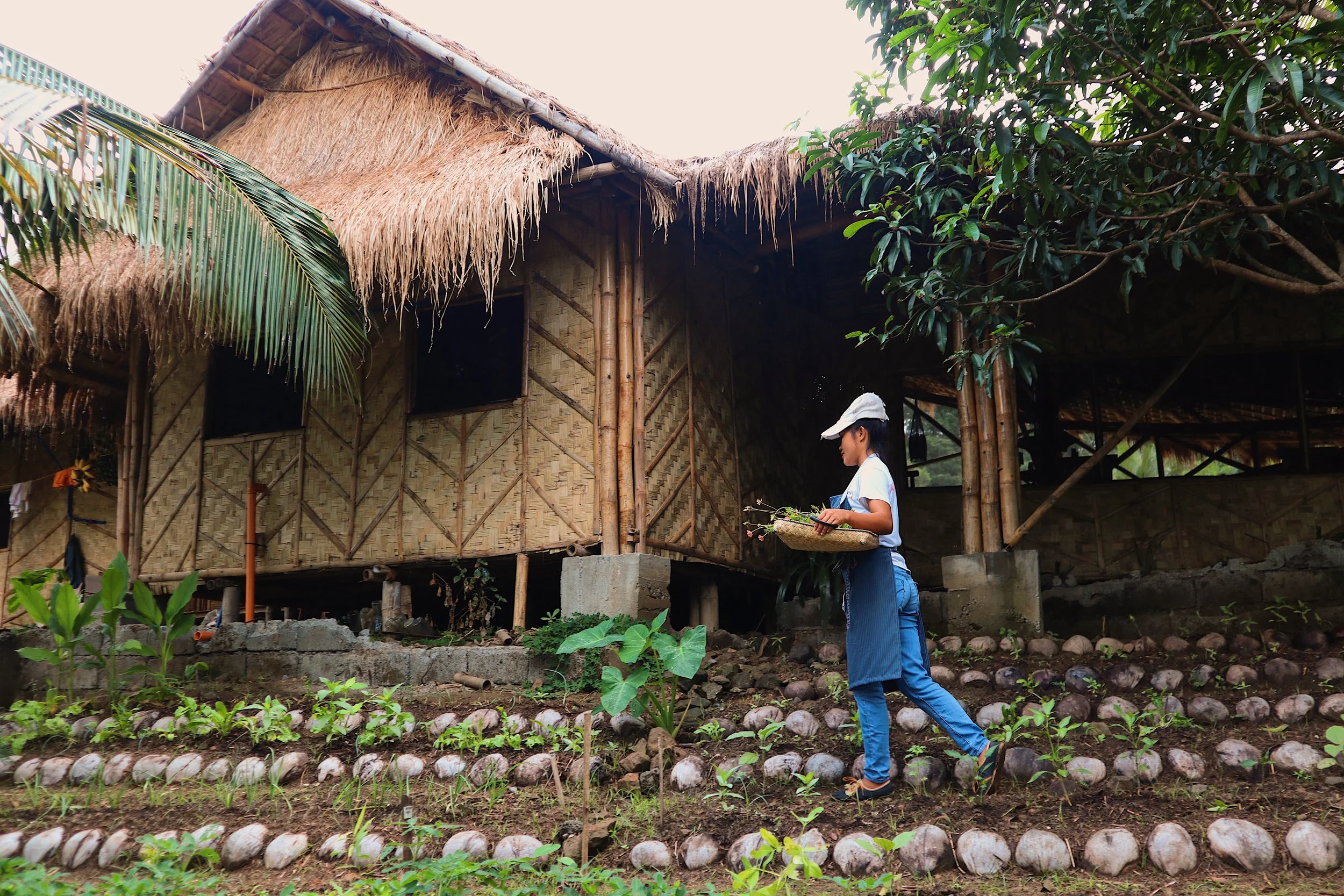 Organic Garden Harvests