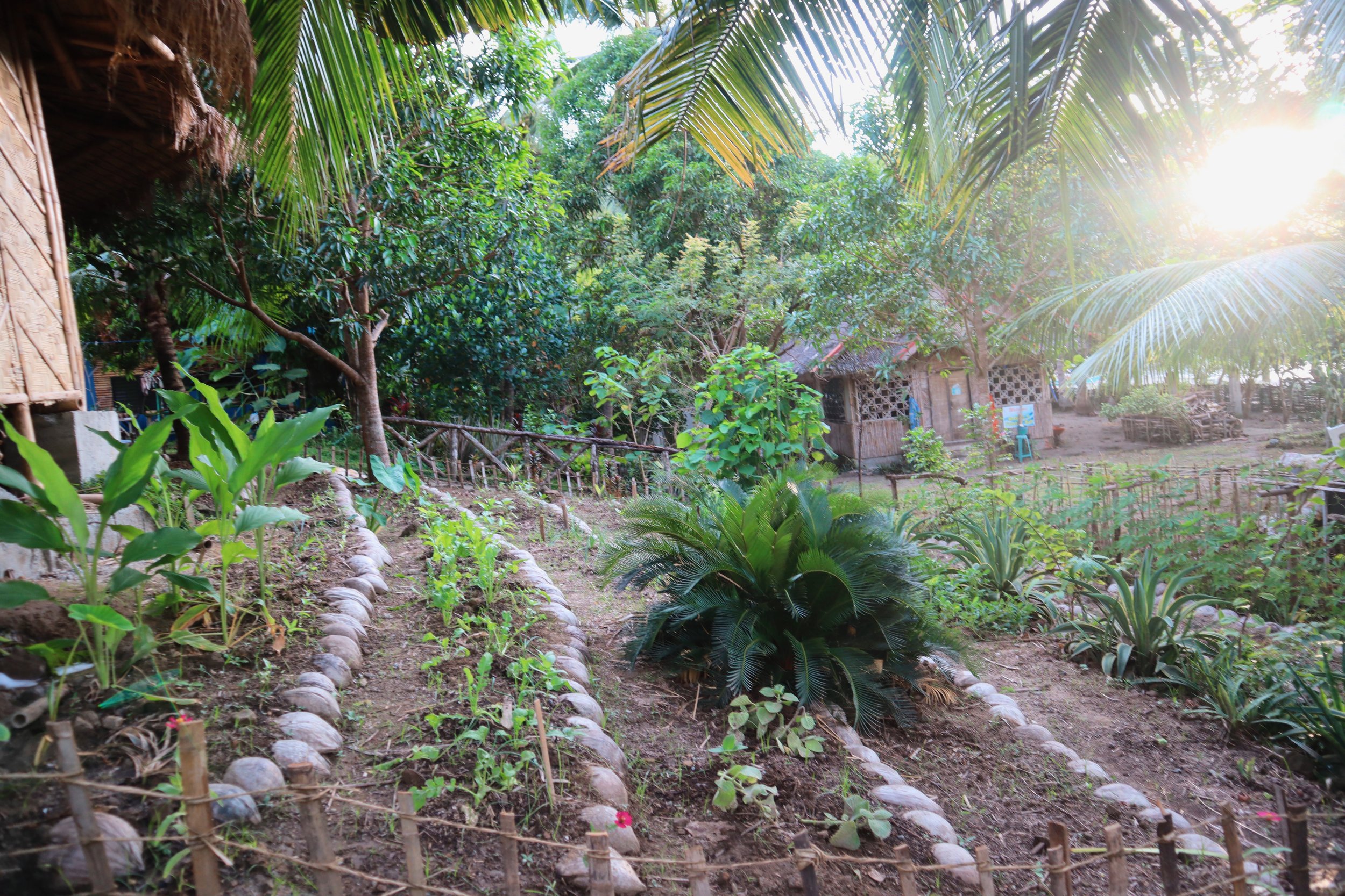 Organic Garden