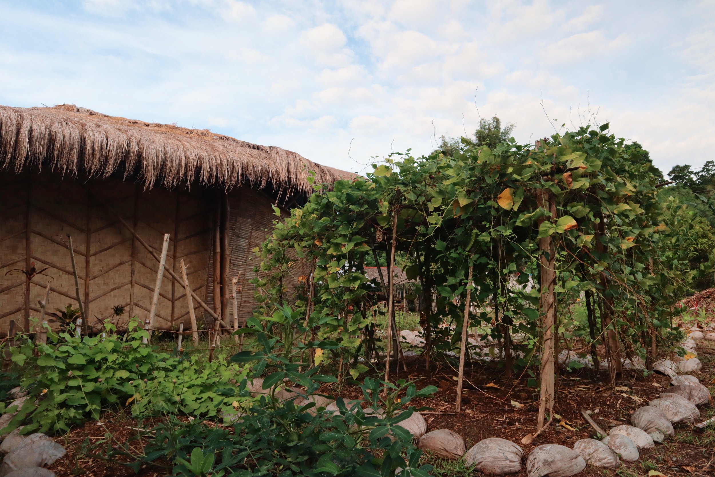 Organic Garden