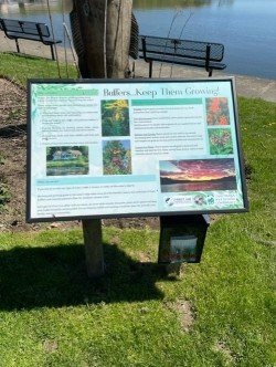 thumbnail_IMG_7479.jpg
