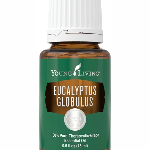 Eucalyptus Globulus - 15ml