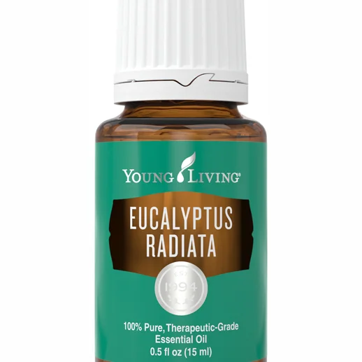Eucalyptus Radiata - 15ml