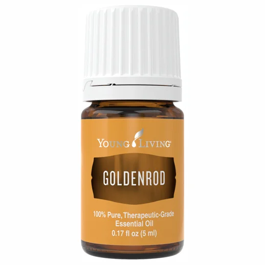Goldenrod - 5ml