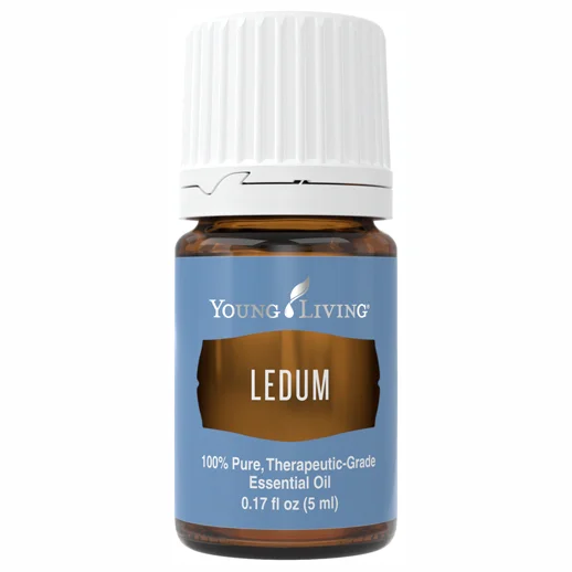 Ledum - 5ml