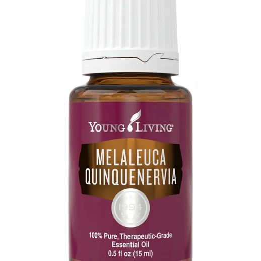 Melaleuca Quinquenervia