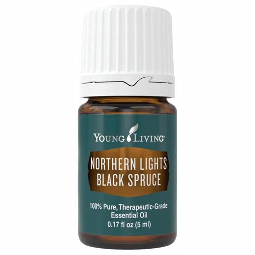 Northern Lights Black Spruce