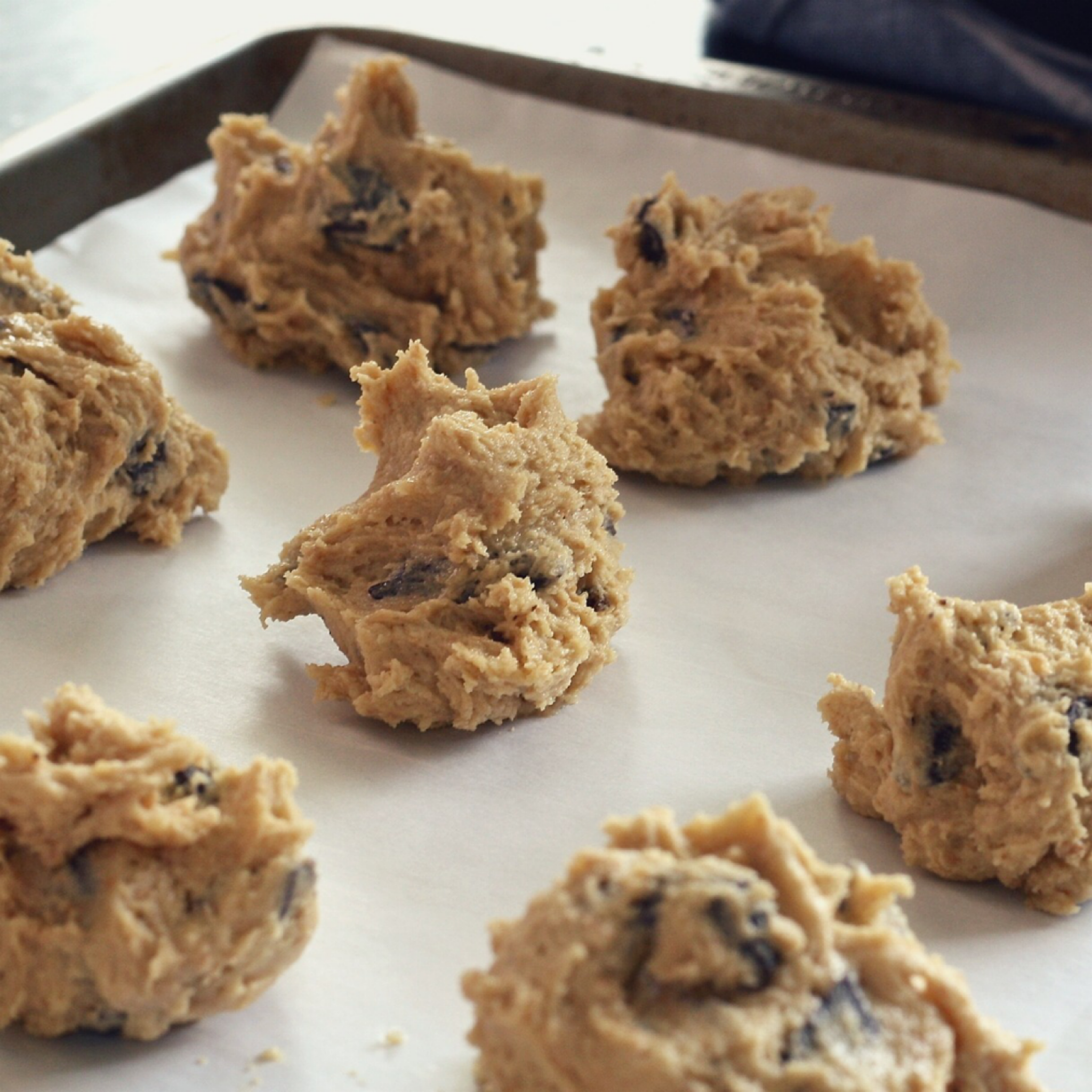Einkorn Chocolate Chip Cookies
