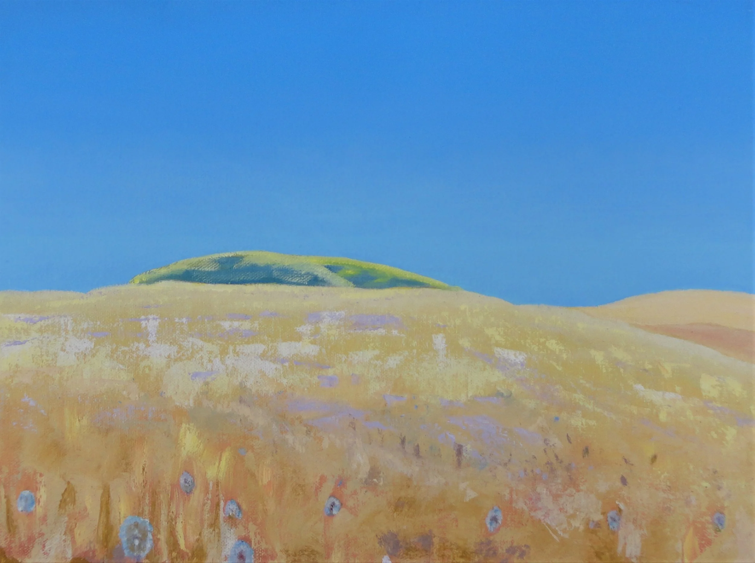 ToroHilltops.jpg