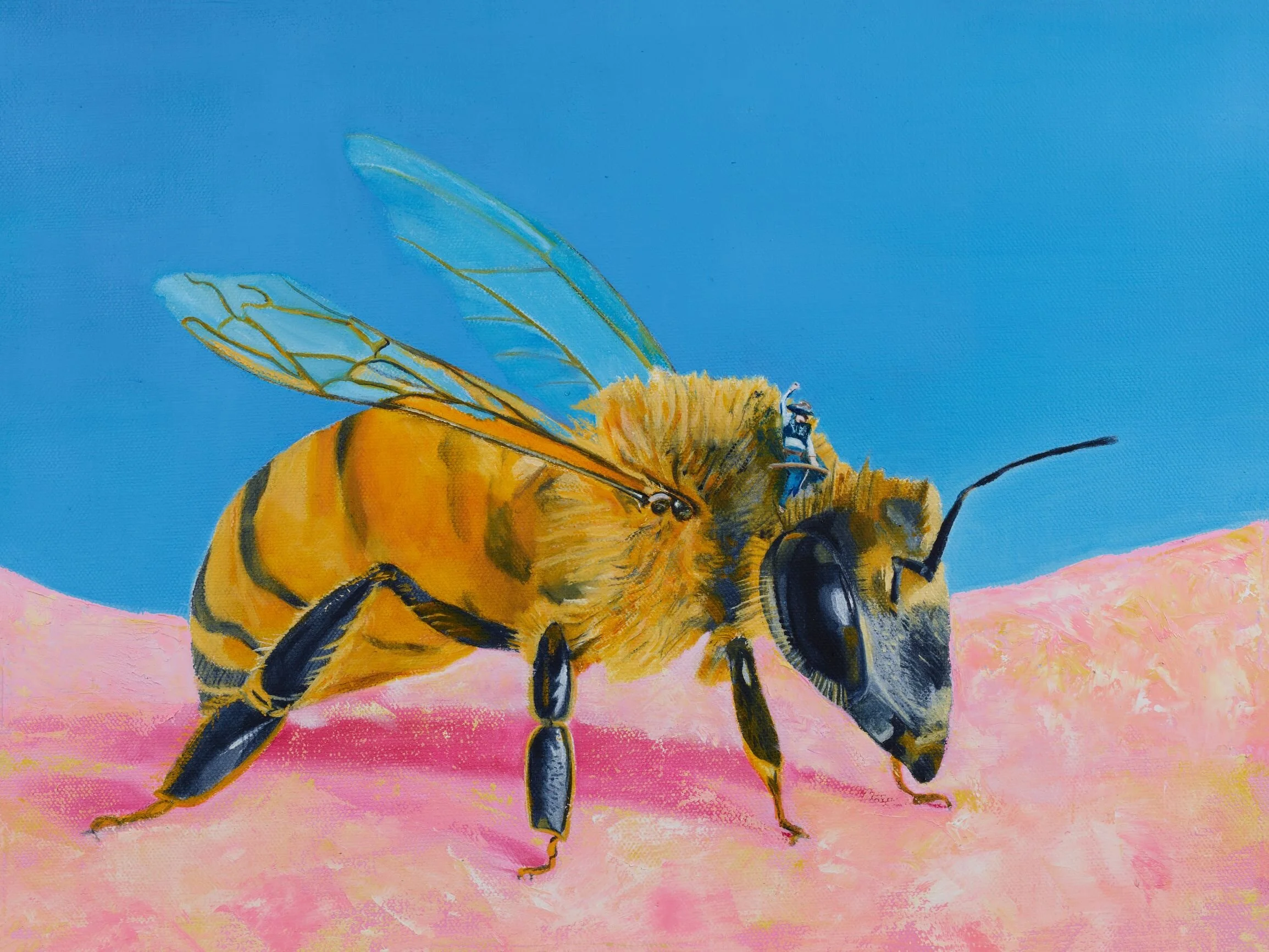 HoneyRustler_4mp.jpg