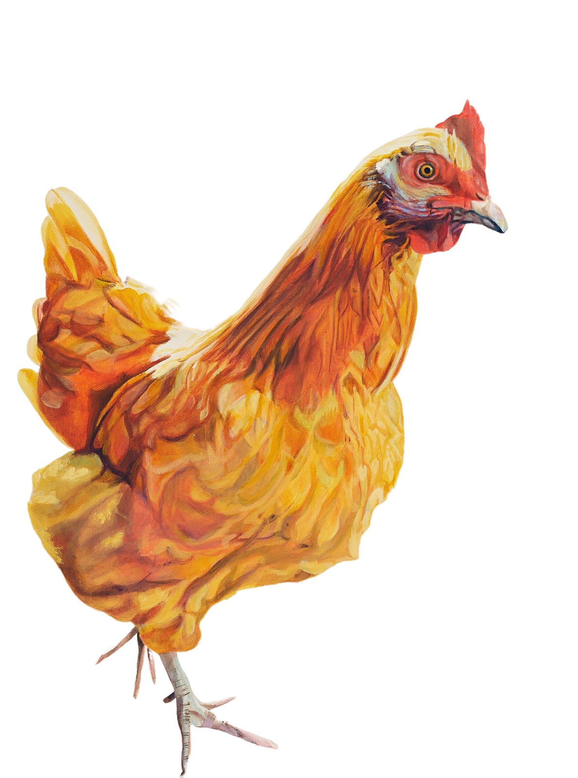 Goldie Portrait Prints