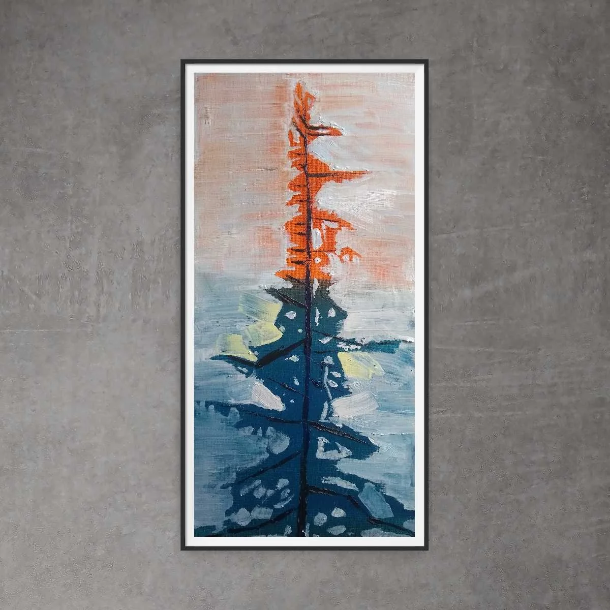 Douglas Fir #3