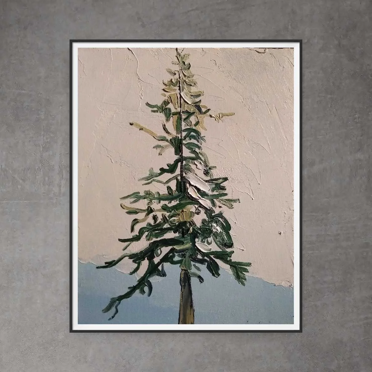 Douglas Fir #11