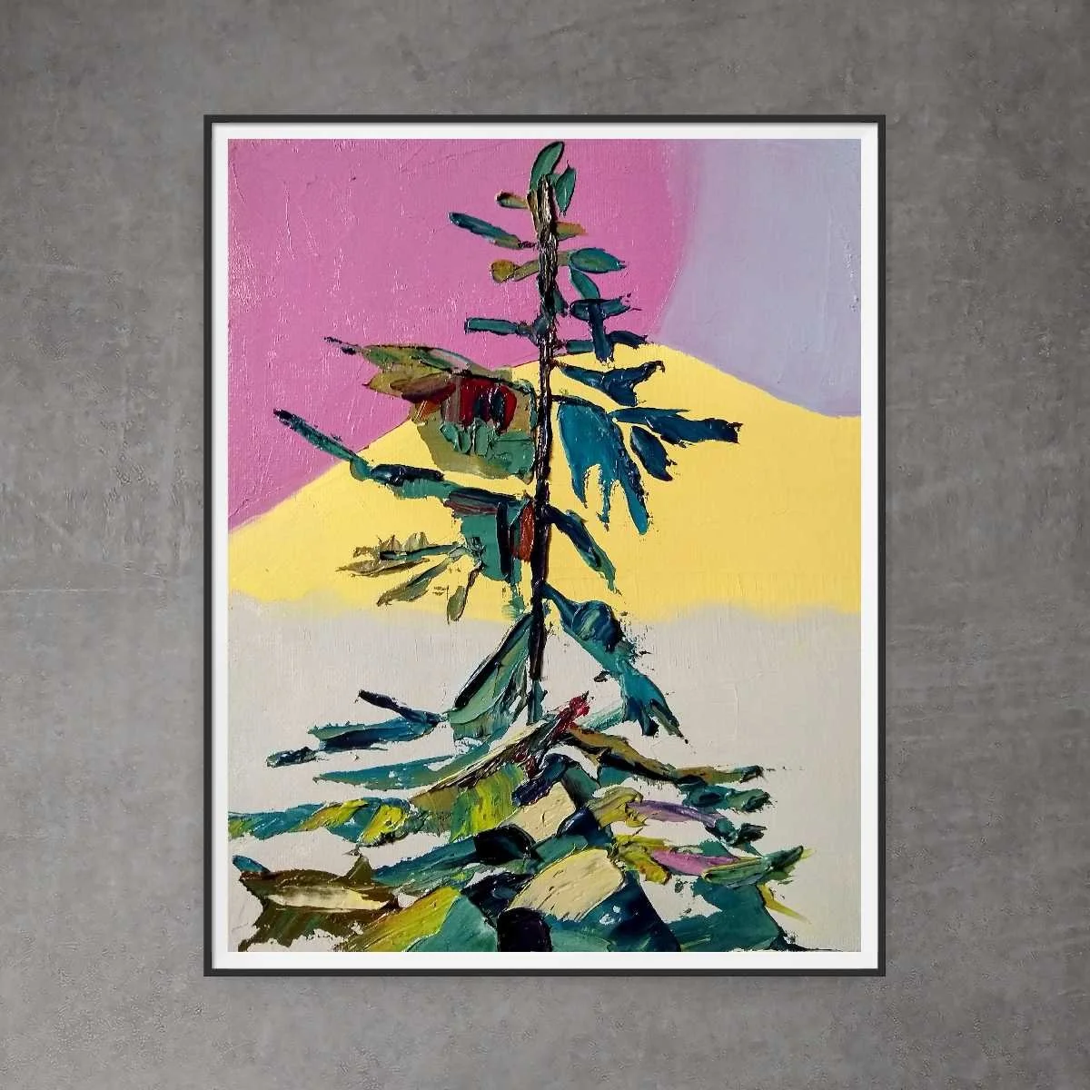 Douglas Fir#19