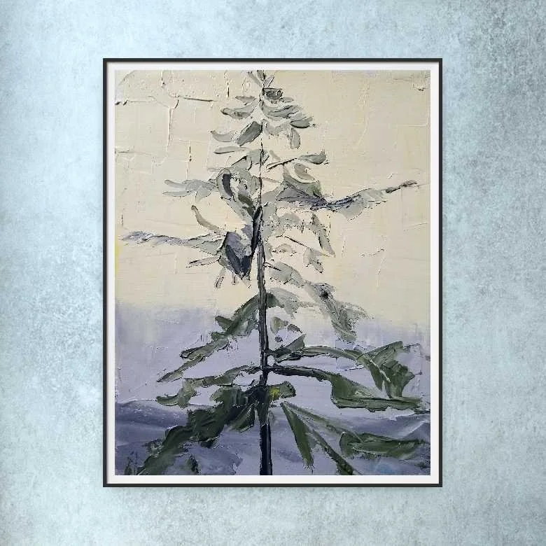 Douglas Fir#21