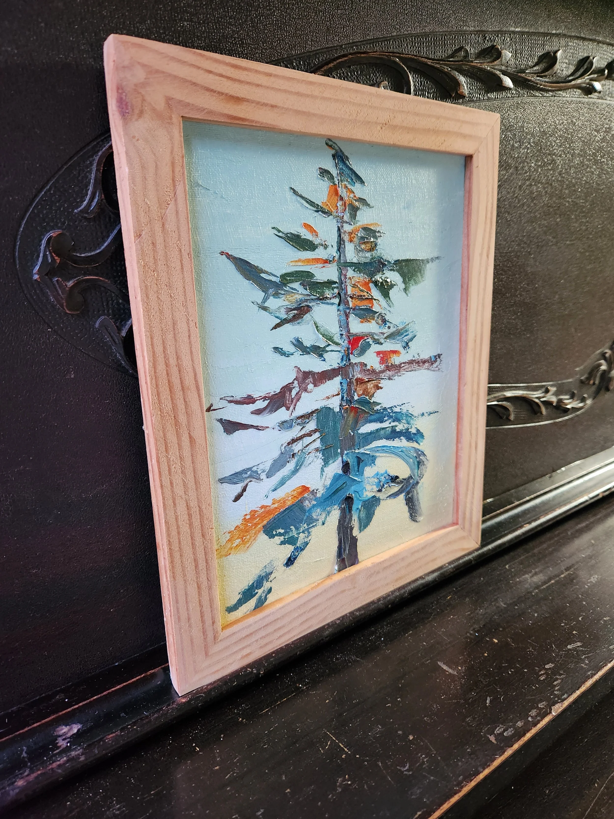 Douglas Fir #66